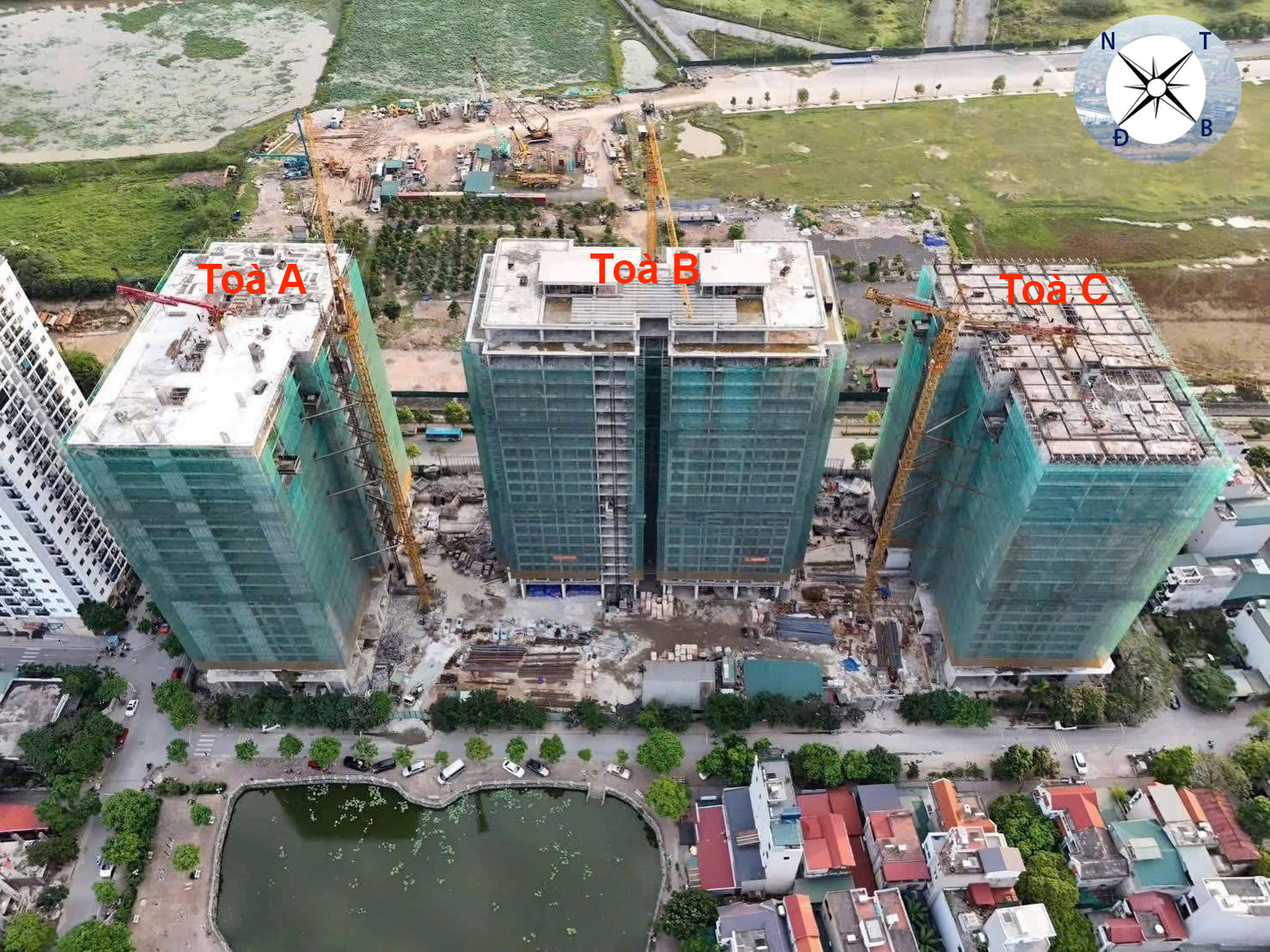 Thực tế Dự án
