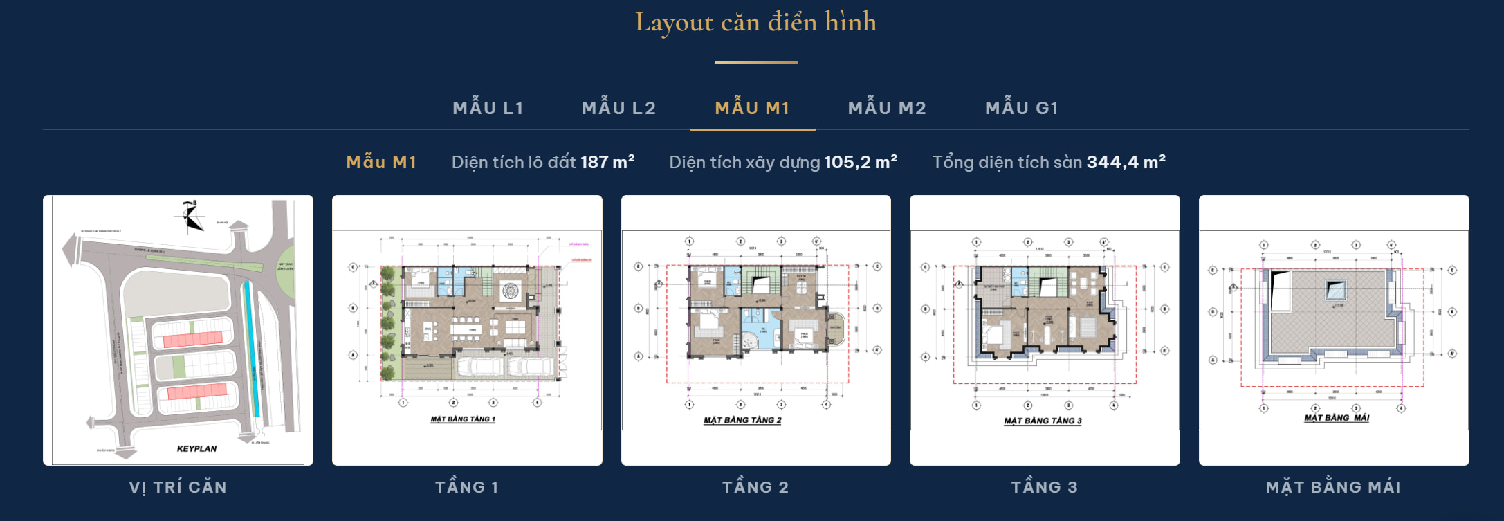 Mẫu Liền kề Shophouse MaiSon Laxury